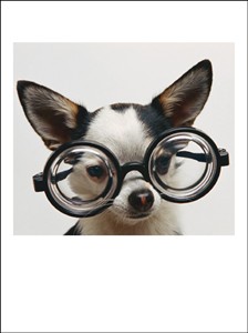 1157 BD Dog with oversized glasses