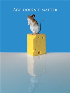 1393 BD Mouse on cheese