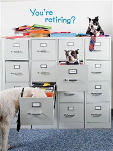 3514 RT Dogs in file cabinet