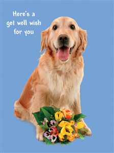 5141 GW Dog, bouquet