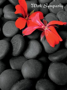 5423 SY Red flower on stones