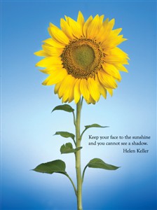 5742 CF Sunflower on blue