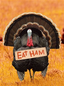 7320 TH Turkey with eat ham sign
