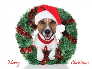 7561BX CH Dog with santa hat, wreath