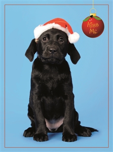 7569 CH Puppy Fleas Navidad