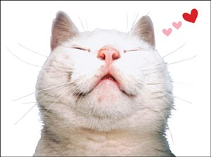 8145 VL Cat dreaming hearts