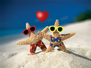 8147 VL Starfish valentine couple