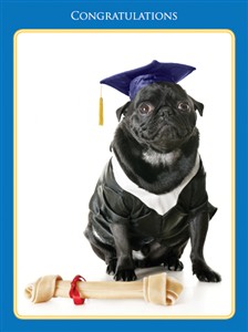 8833 GD Dog in cap & gown, chew toy