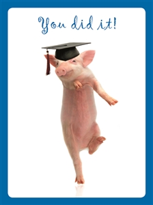8837 GD Pig graduate